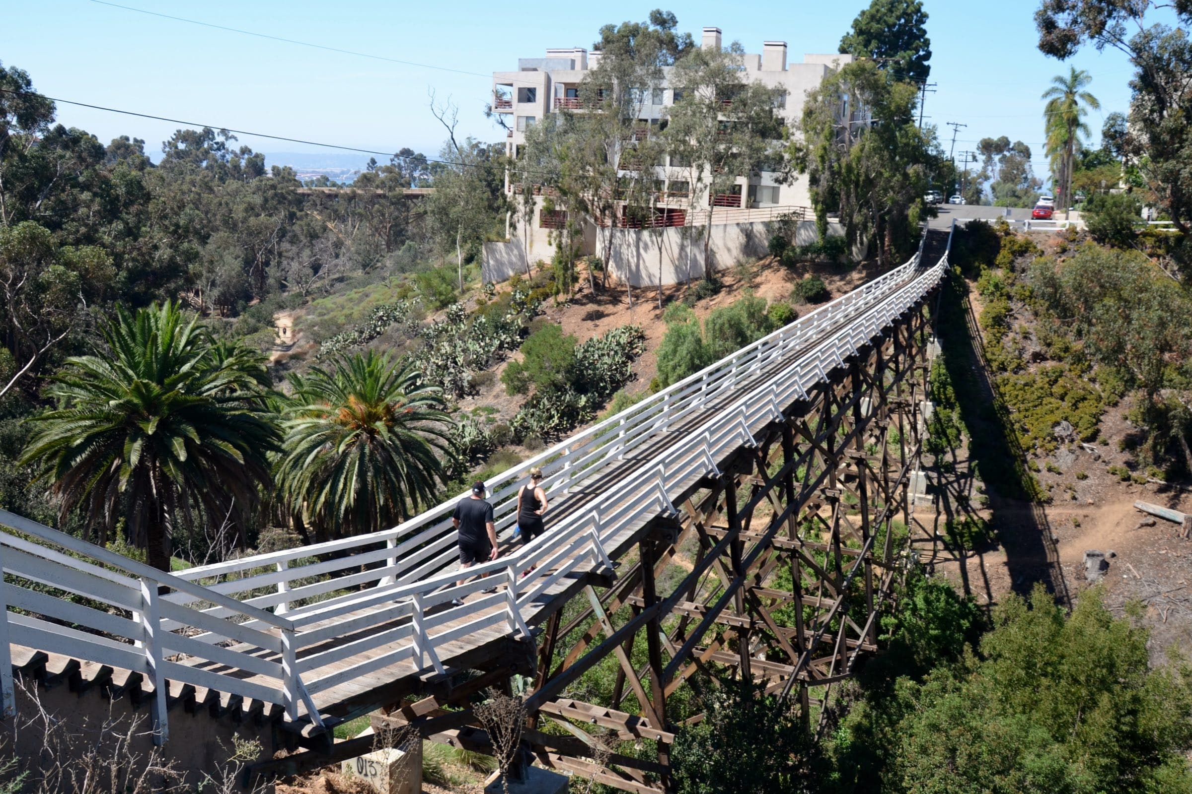 The white-railed wooden Quince Street footbridge crossing Maple Canyon in Bankers Hill, with palms, cactus and an apartment building on the slope behind
